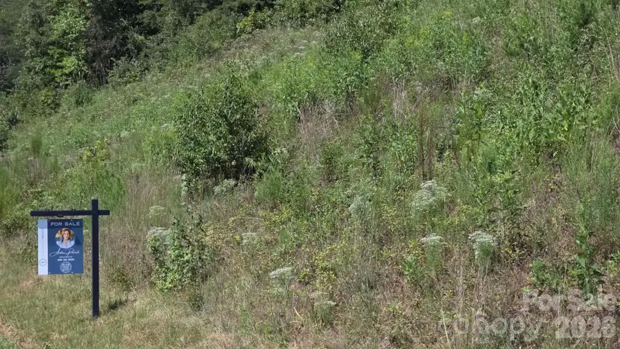 0 Us 64 90 Highway W, Taylorsville, NC 28681 - #2