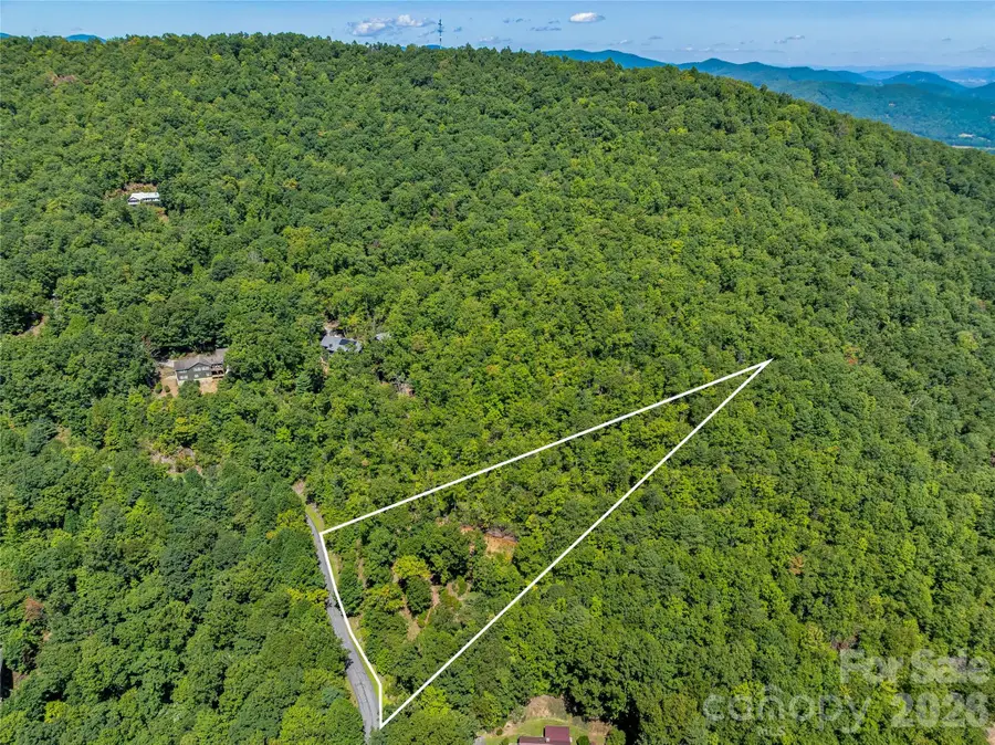 204 Forge Crest Drive #38, Mills River, NC 28759 - #3