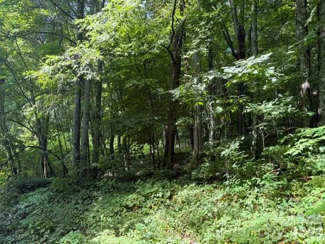 194 Elk Hair Drive #1,191,194,195,196,197, Cullowhee, NC 28723 - #3