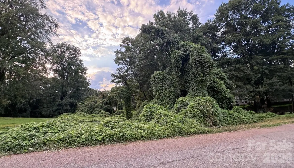 0 Wisconsin Street, Spindale, NC 28160 - #1