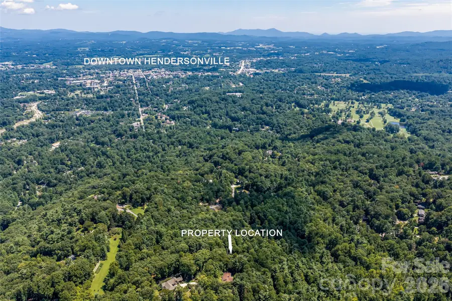 99999 Sabine Drive #2A, Laurel Park, NC 28739 - #2