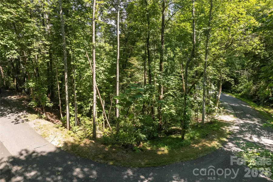 0 Weaver Lane #185, Lake Lure, NC 28746 - #2