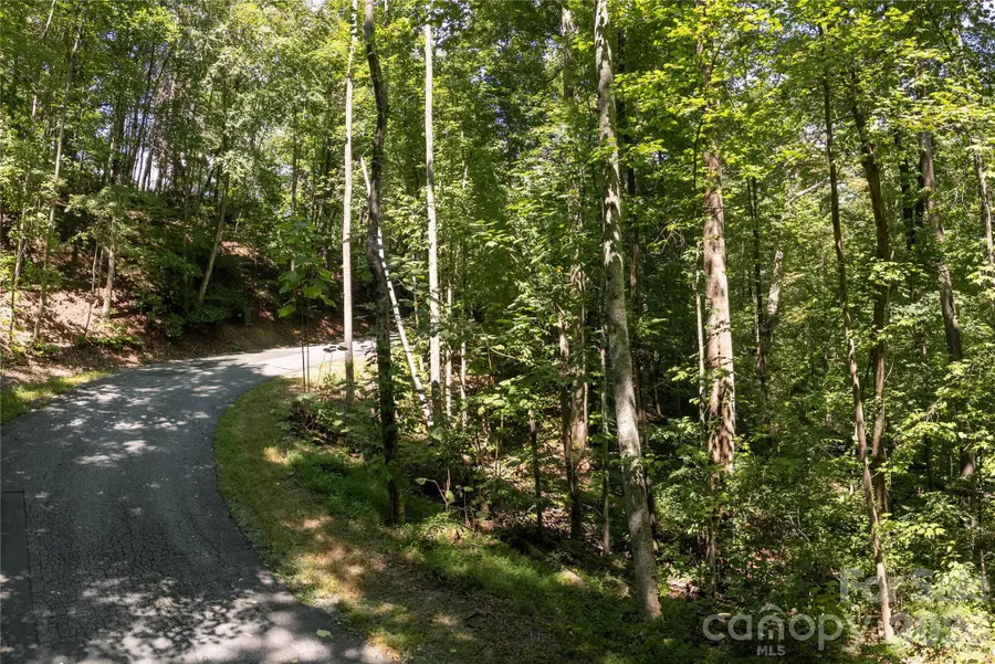 0 Weaver Lane #185, Lake Lure, NC 28746 - #3