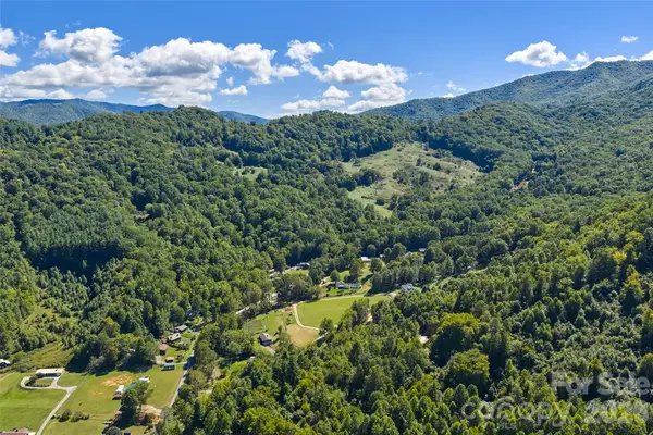 60 Spring Mountain Drive, Canton, NC 28716
