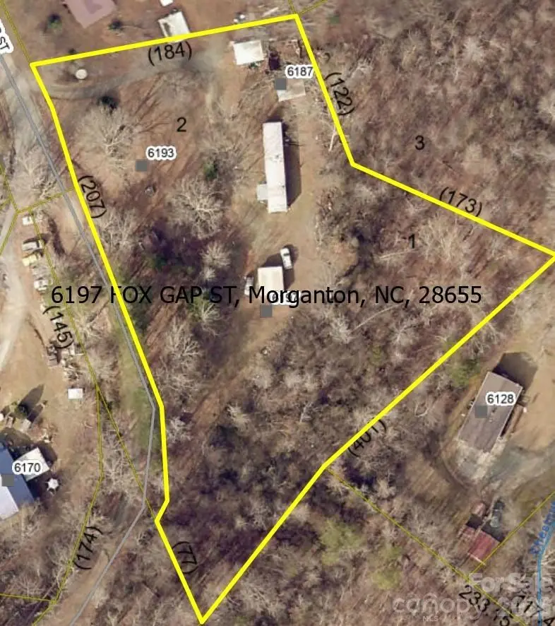 6197 Fox Gap Street, Morganton, NC 28655 - #2