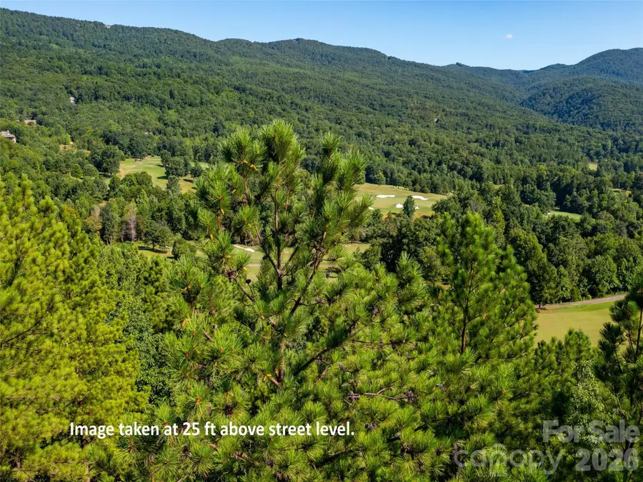 2026 Deep Gap Farm Road E, Mill Spring, NC 28756 - #2