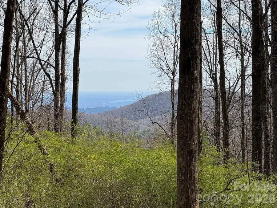 L8 Black Bear Court, Sapphire, NC 28774 - #2