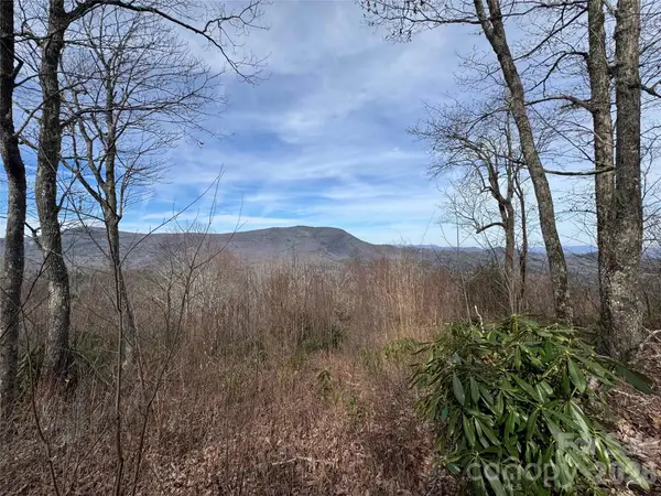 L3 Windy Gap Lane, Sapphire, NC 28774