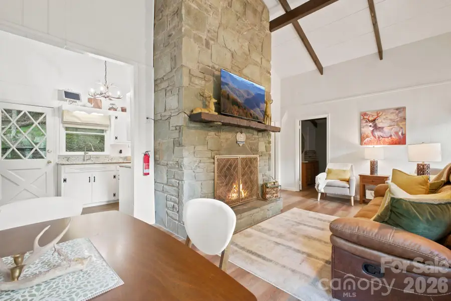 242 Charter Hills Road, Beech Mountain, NC 28604 - #3