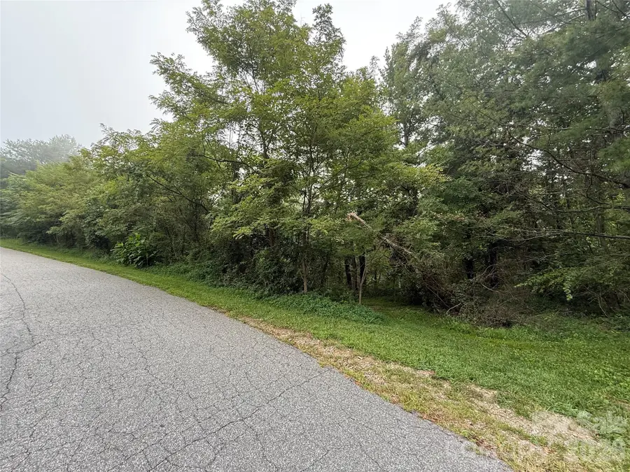 99999 Elk Mountain Ridge #13, Asheville, NC 28804 - #2