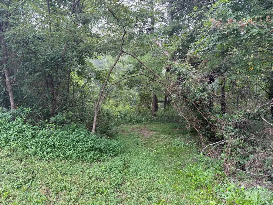 99999 Elk Mountain Ridge #14, Asheville, NC 28804 - #3