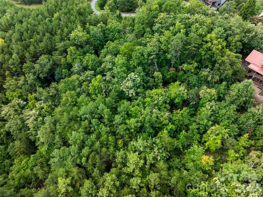 0 Boulder Ridge #5, Lake Lure, NC 28746 - #2