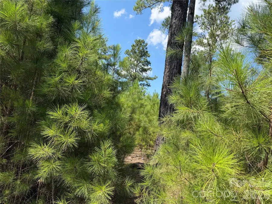 V/L Coveside Drive #133, Granite Falls, NC 28630 - #3