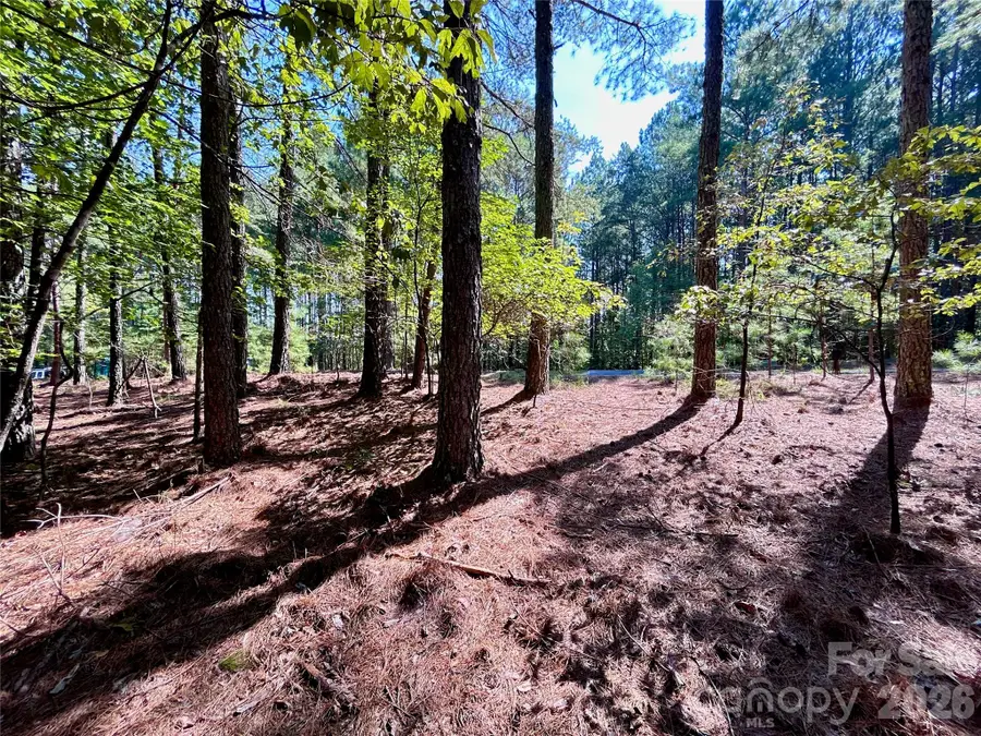 1461 Cordova Drive, Connelly Springs, NC 28612 - #3