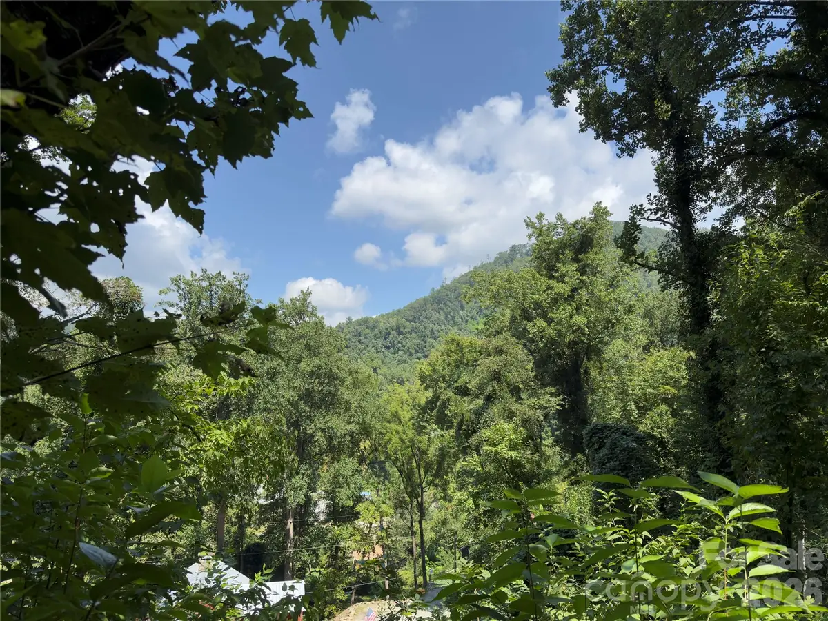 0 Rock Broad River Road #21, Hendersonville, NC 28792 - #1