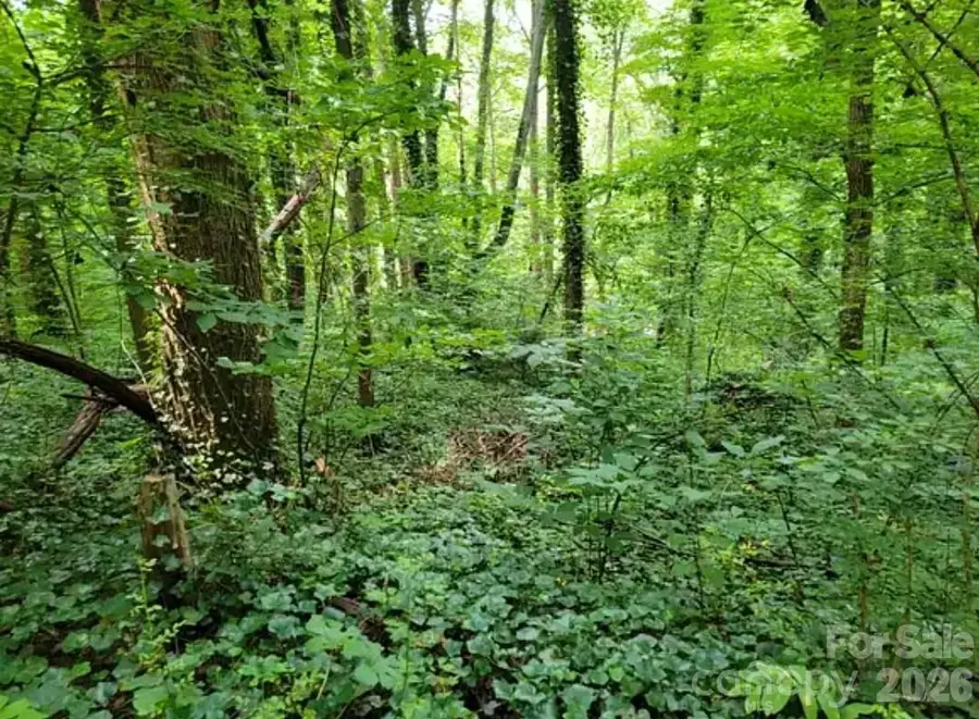 0 Rock Broad River Road #21, Hendersonville, NC 28792 - #2