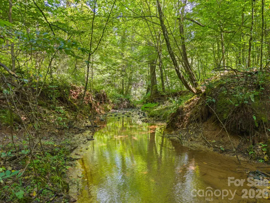 00 Chilly Bowl Road, Rutherfordton, NC 28139 - #2