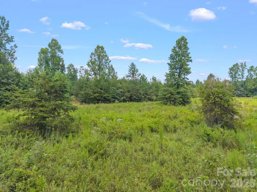 00 Chilly Bowl Road, Rutherfordton, NC 28139 - #3