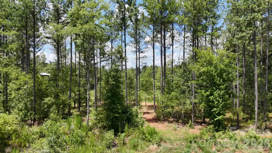 6+/- AC Parson Road, McConnells, SC 29726 - #3