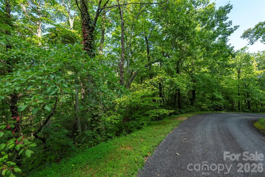 1405 North Haven Drive, Black Mountain, NC 28711 - #2