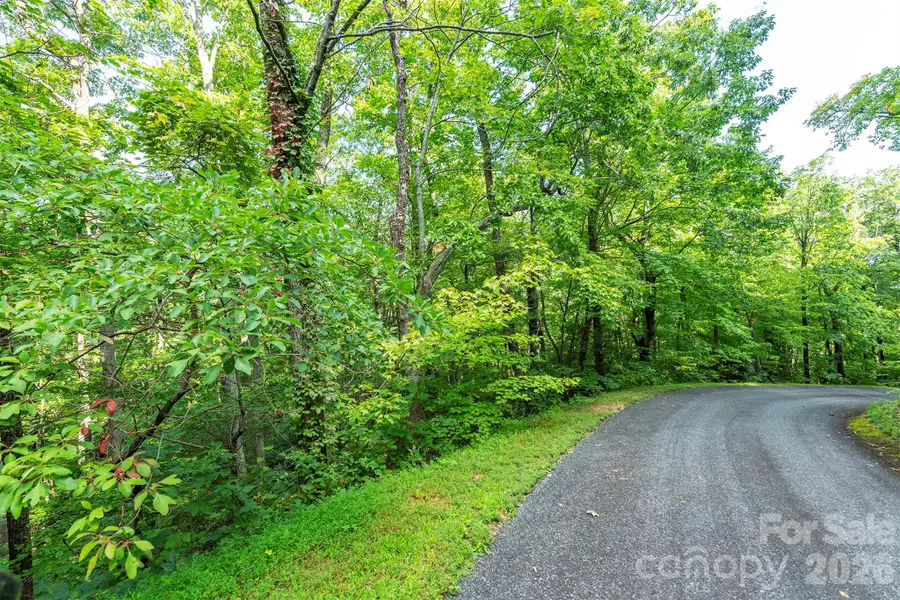 1405 North Haven Drive, Black Mountain, NC 28711 - #3