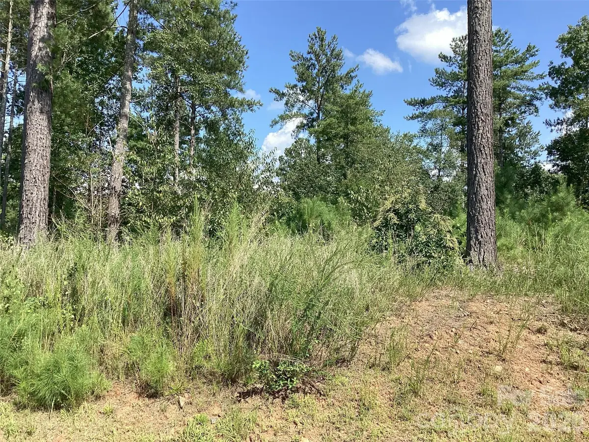 3292 Pyramid Peak Trail #211, Connelly Springs, NC 28612 - #1
