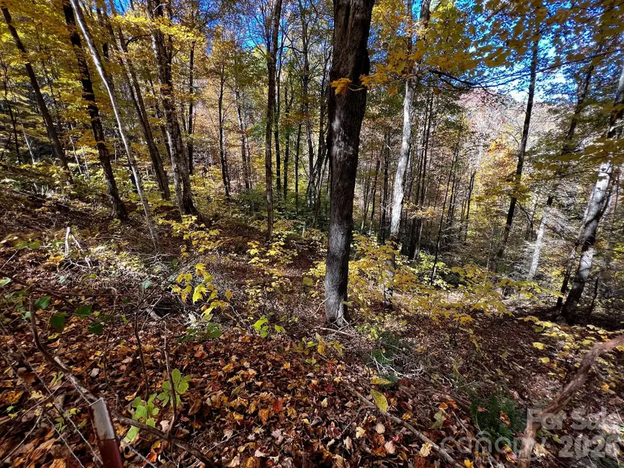0000 Hemphill Road #3, Waynesville, NC 28785 - #3