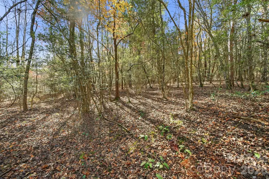 VL Indian Grave Road, Lenoir, NC 28645 - #2