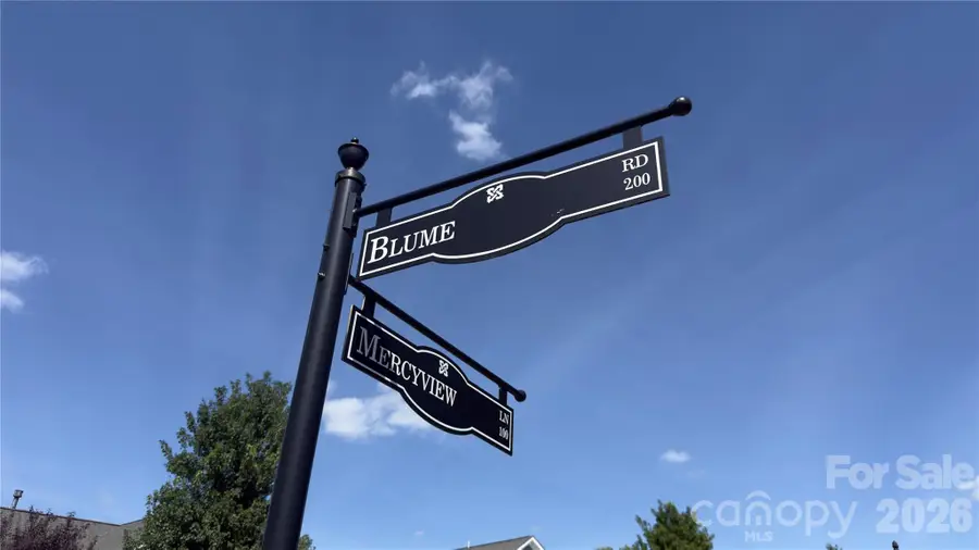 118 Mercyview Lane, Mooresville, NC 28117 - #3