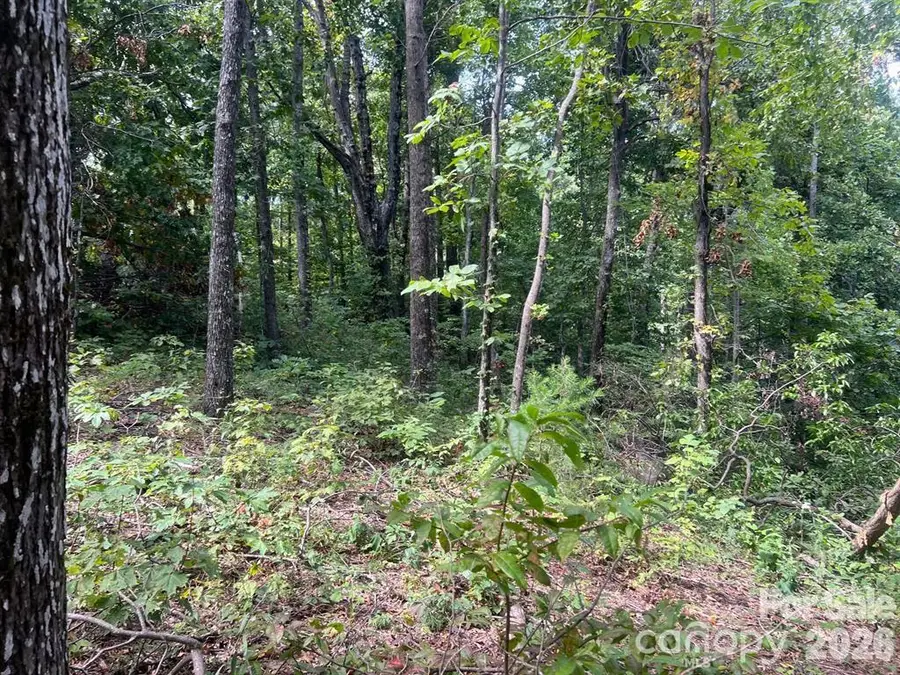 6792 Silver Creek Lane, Morganton, NC 28655 - #2