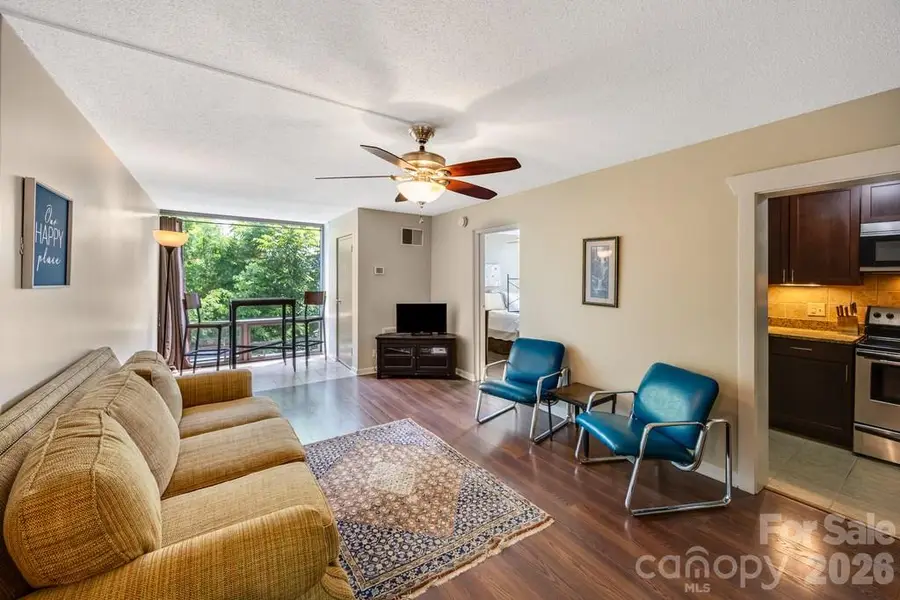 647 Town Mountain Road #211, Asheville, NC 28804 - #3