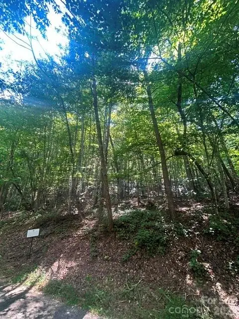 Lot 272 Hummingbird Court, Lake Lure, NC 28746