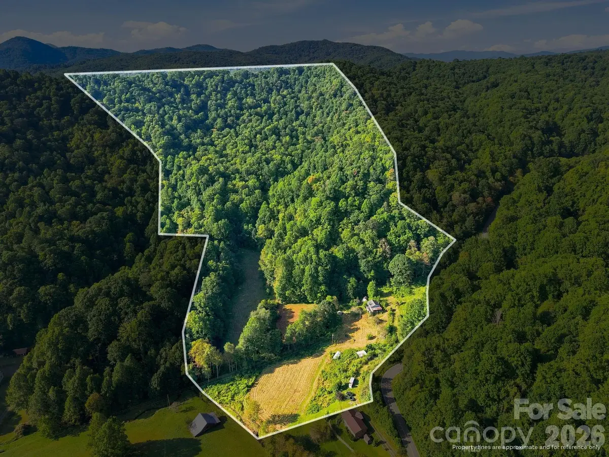 1487 Poplar Gap Road, 8 Spring Creek, NC 28754 - #1