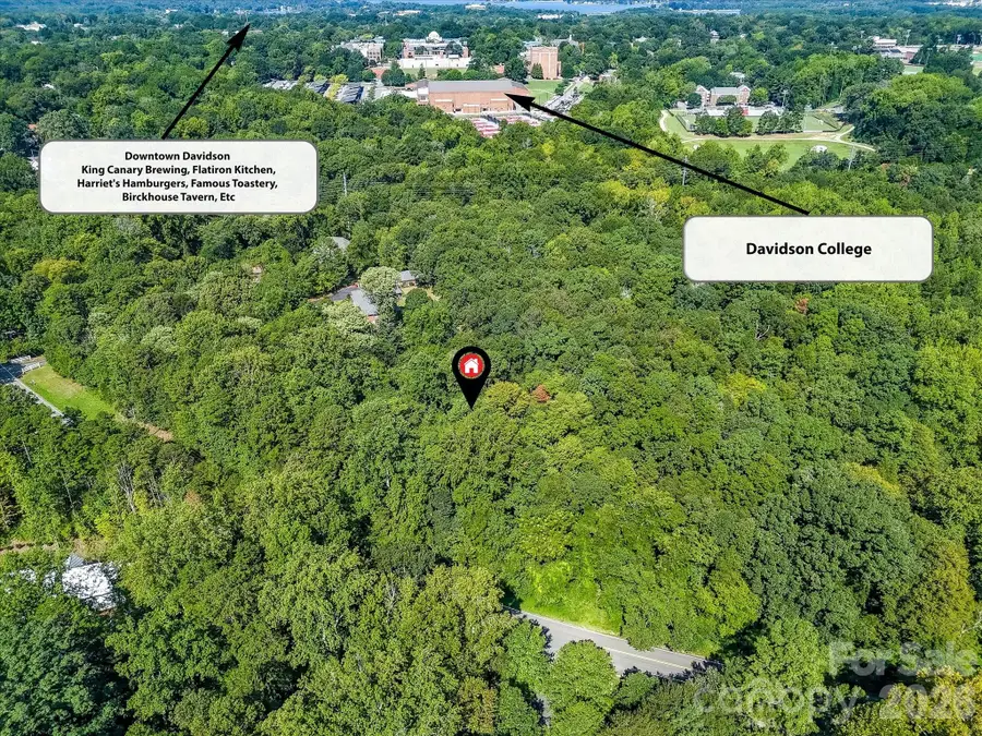 1233 Grey Road, Davidson, NC 28036 - #3