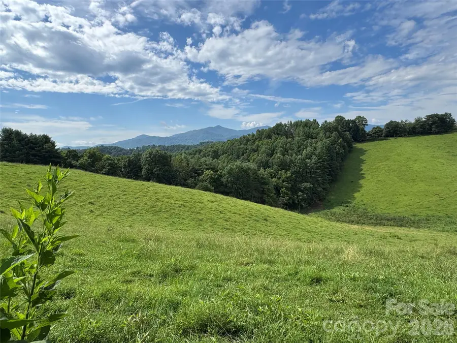 0 Union Hill Church Road, Green Mountain, NC 28740 - #3