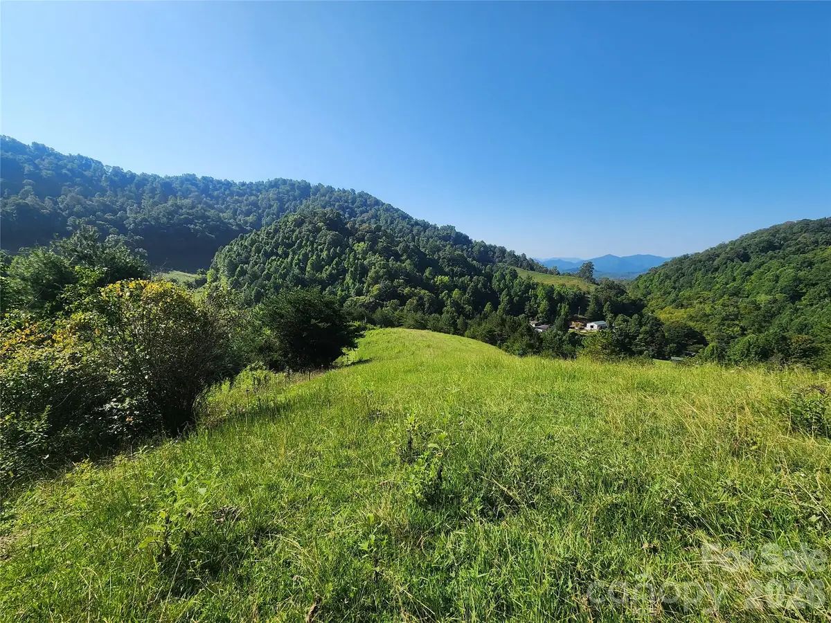 TBD Gid Flynn Road, Marshall, NC 28753 - #1