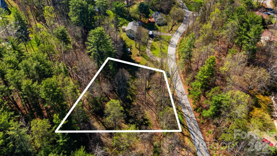 9999 Riverview Church Road, Asheville, NC 28806 - #2