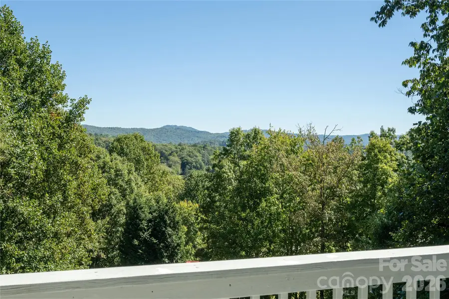 219 Greens View Drive, Horse Shoe, NC 28742 - #2