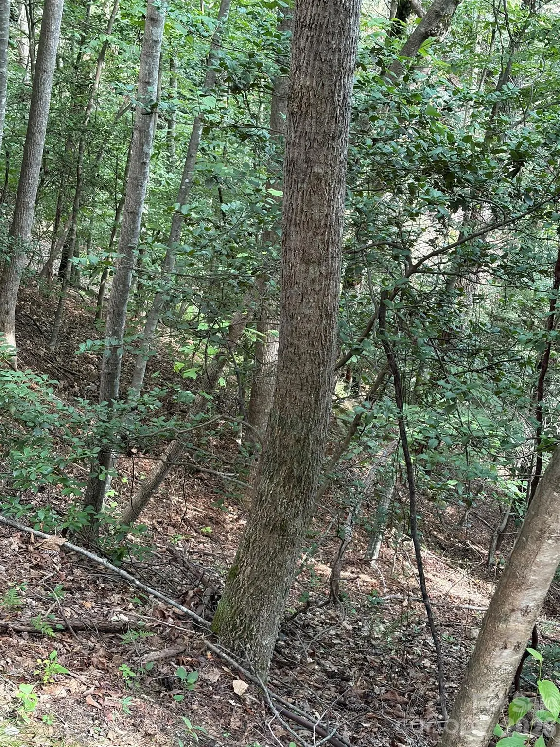 TBD Old Nc Highway 16 Highway, Millers Creek, NC 28651 - #1