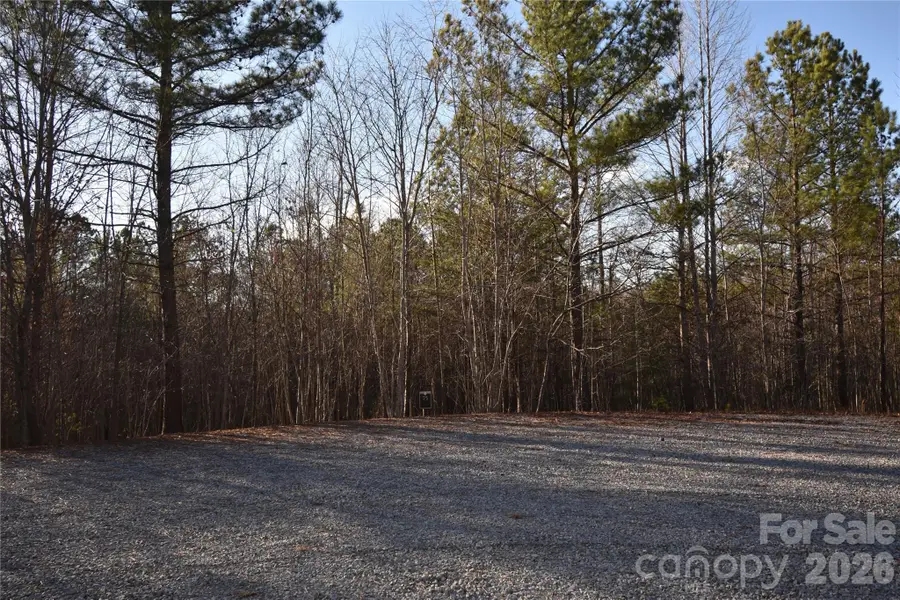 Lot 75 Tayberry Drive, Nebo, NC 28761 - #2