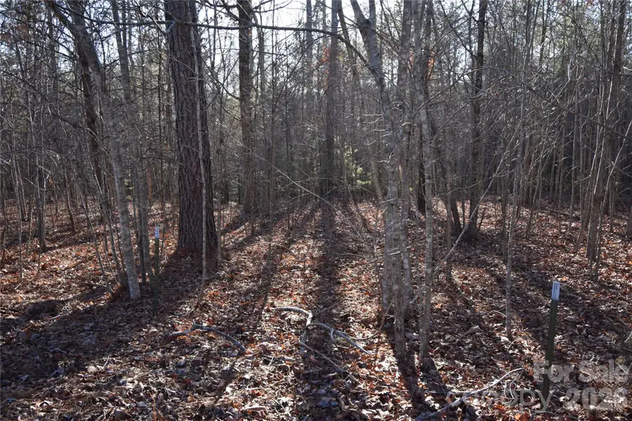 Lot 75 Tayberry Drive, Nebo, NC 28761 - #3
