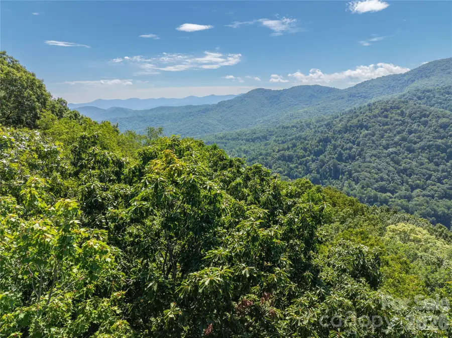 Lot 22 Lovebird Lane, Canton, NC 28716 - #2