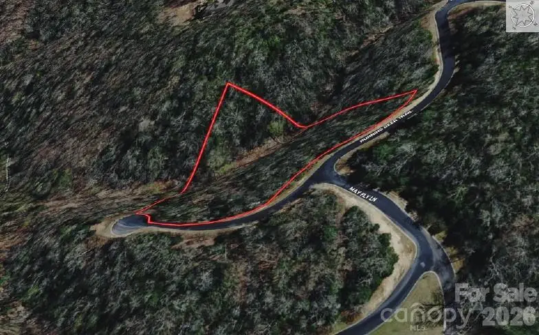 00 N Running Deer Trail #85R, Horse Shoe, NC 28742 - #3