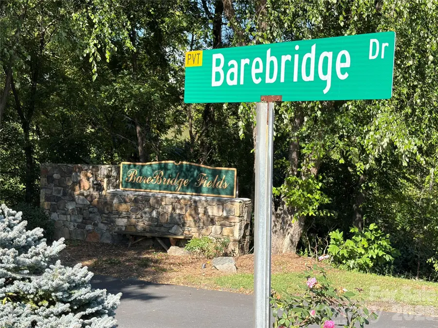 51 Barebridge Fields Road #51, Burnsville, NC 2874 - #2