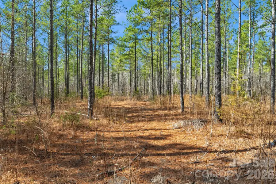 000 Peacehaven Road #7, McConnells, SC 29726 - #3