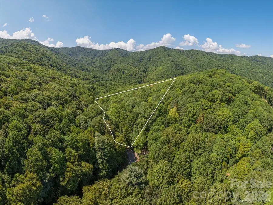 433 Rockmont Road, Waynesville, NC 28785 - #3