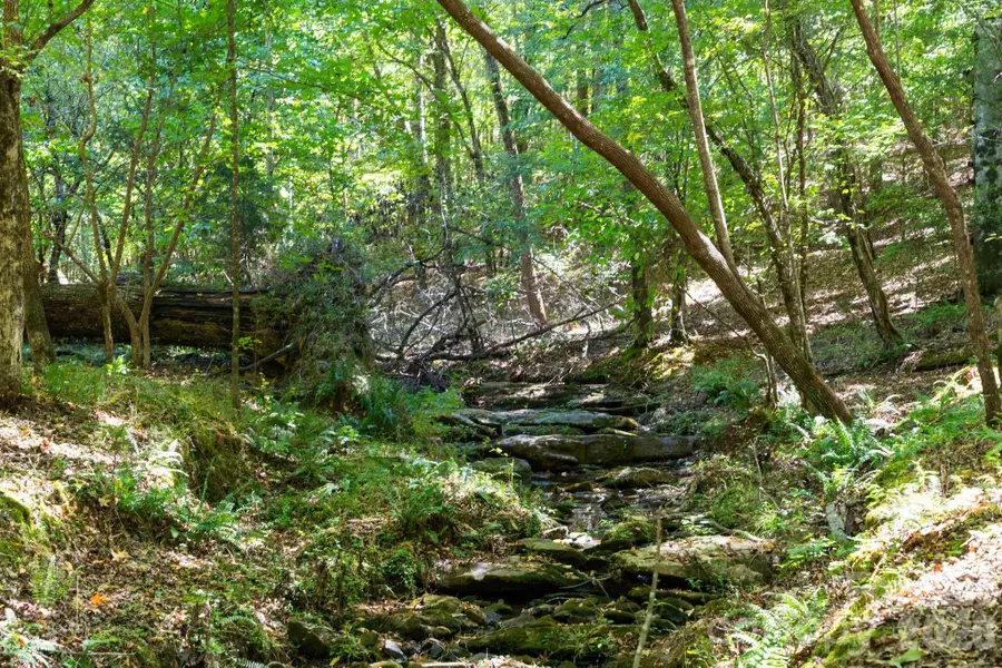 0000 Hwy 215 Highway N, Blair, SC 29015 - #3