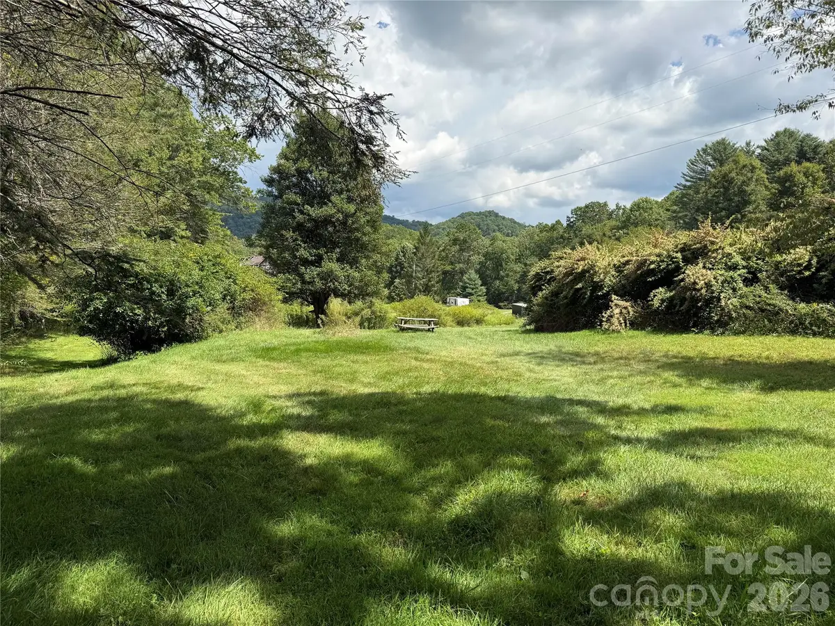 20 Triangle Road, Tuckasegee, NC 28783 - #1