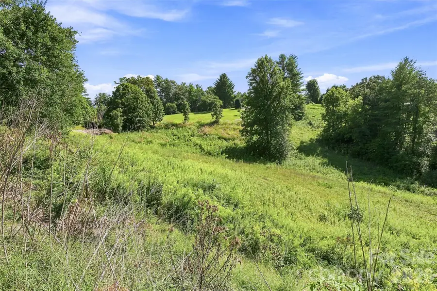 30 Morning Glory Lane, Weaverville, NC 28787 - #2