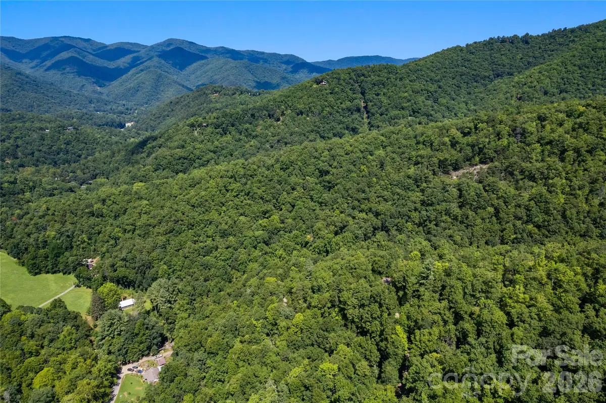 OFF Little East Fork Road #L-1, Canton, NC 28716 - #1